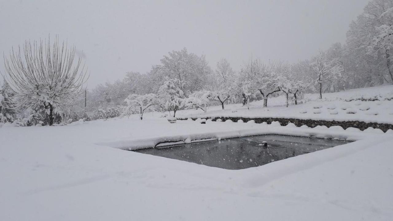 Masseria Boutique B&B 몬텔라 외부 사진